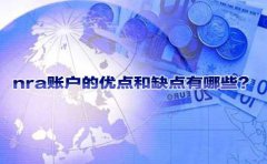 nra賬戶的優(yōu)點(diǎn)和缺點(diǎn)有哪些？