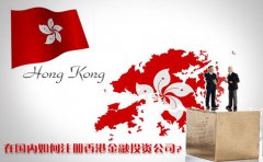 在國(guó)內(nèi)如何注冊(cè)香港金融投資公司？